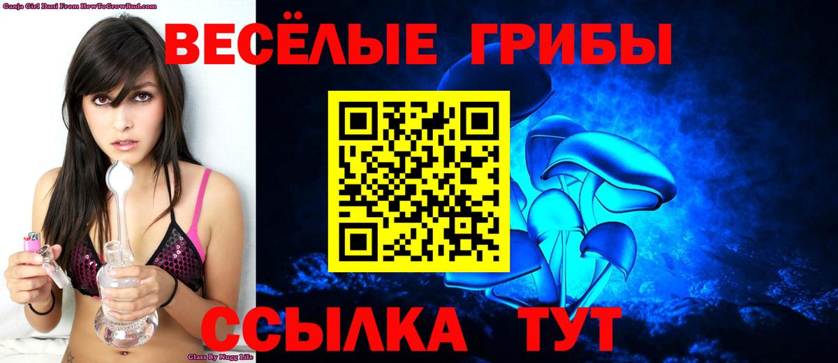 Псилоцибиновые грибы GOLDEN TEACHER  Вход с VPN  Волжск 